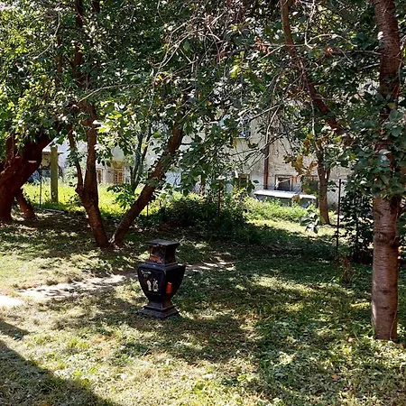 Enjoy Bg * 베오그라드